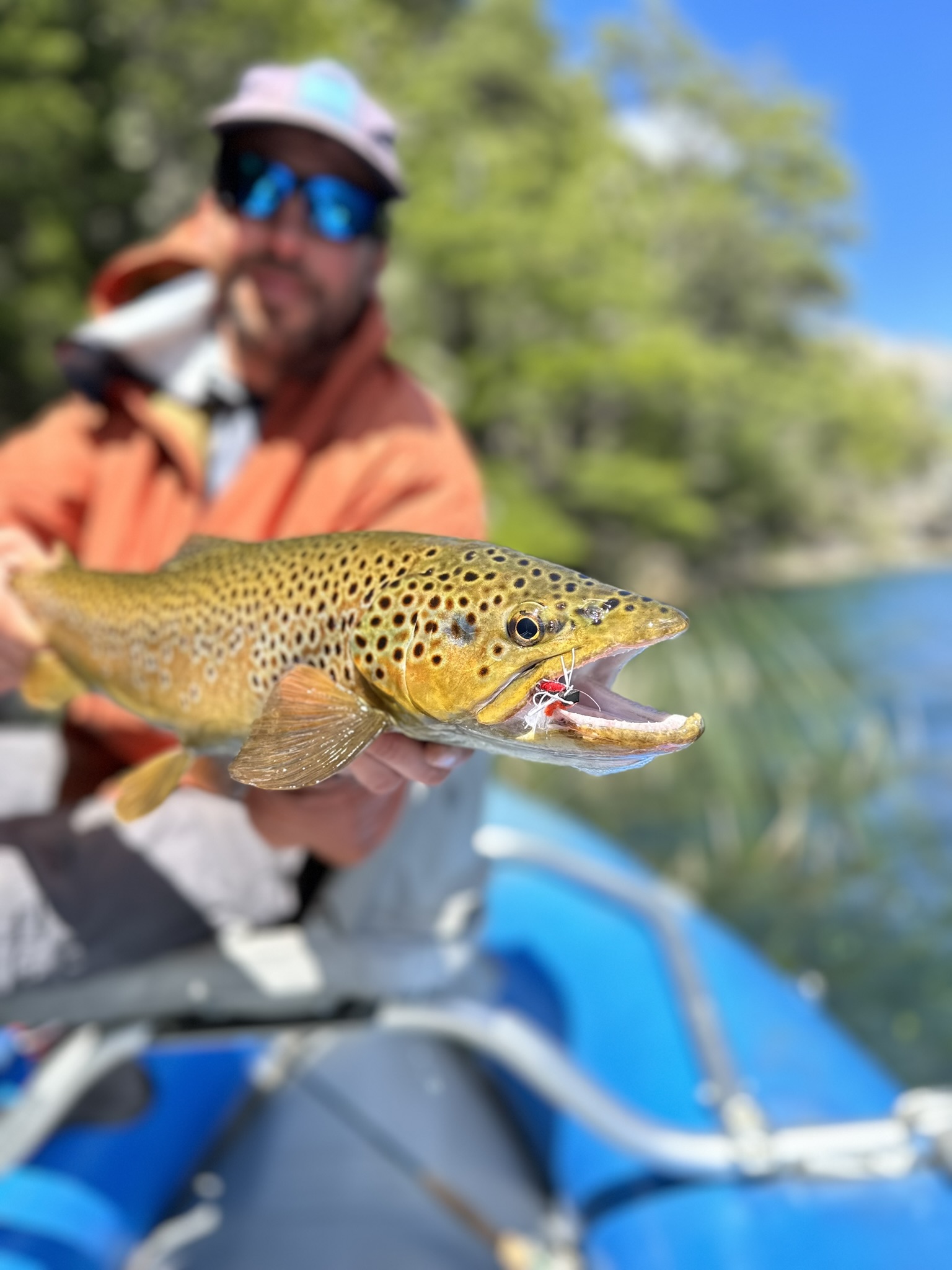 Lake Mascardi fly fishing
